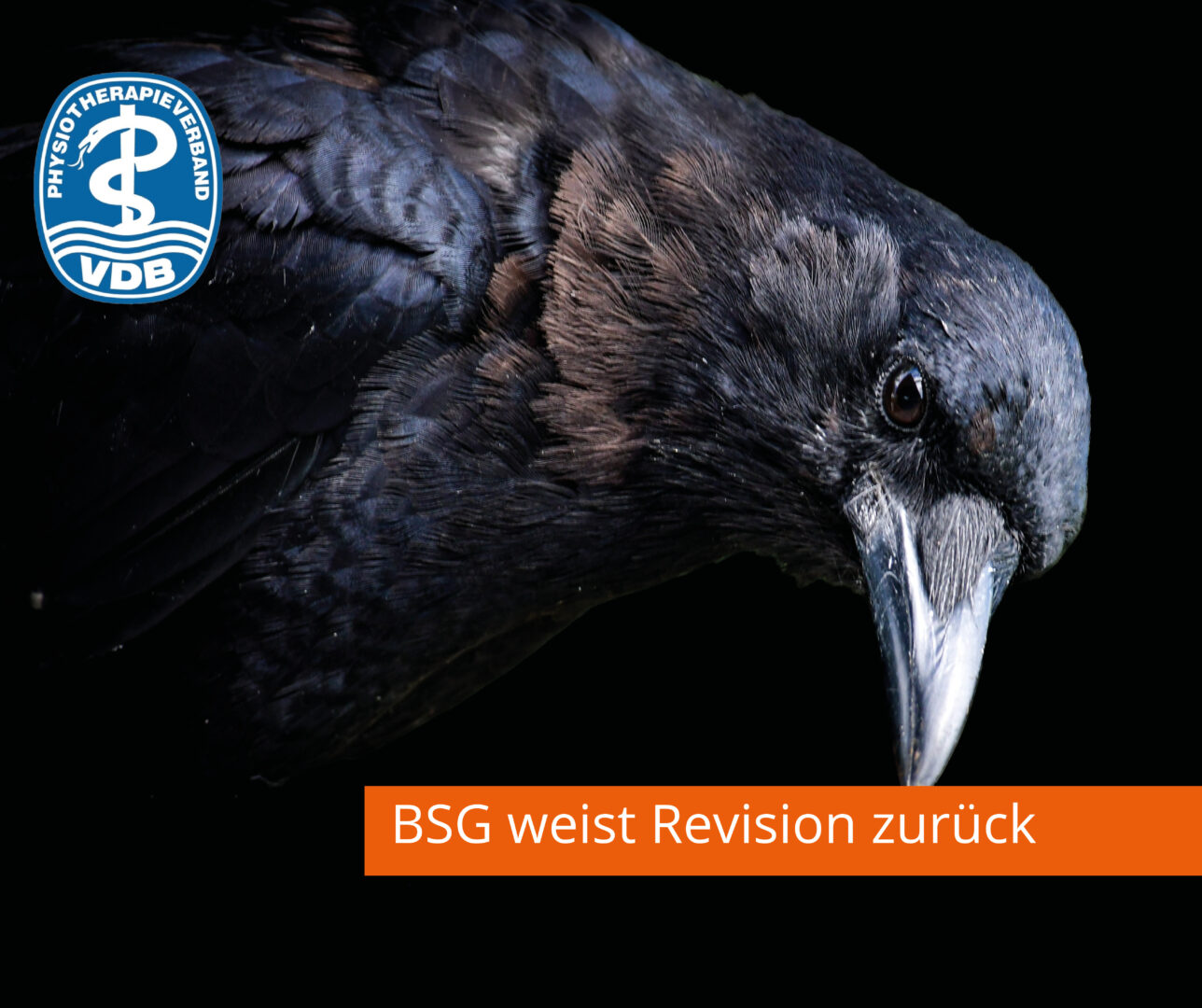 Rabenschwarzer Tag für die Physiotherapie. BSG weist Revision zurück.